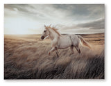 Errolville Multi Wall Art from Ashley - Luna Furniture