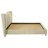 Evelyn Ivory Upholstered Queen Panel Platform Bed from Coaster - Luna Furniture