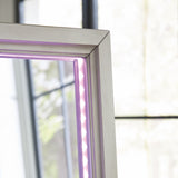 Evesen Champagne Floor Standing Mirror/Storage from Ashley - Luna Furniture