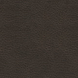 Femley Smoke Recliner from Ashley - Luna Furniture