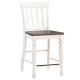 Joanna Two Tone 24″ Counter Stool, Set of 2 from Steve Silver - Luna Furniture