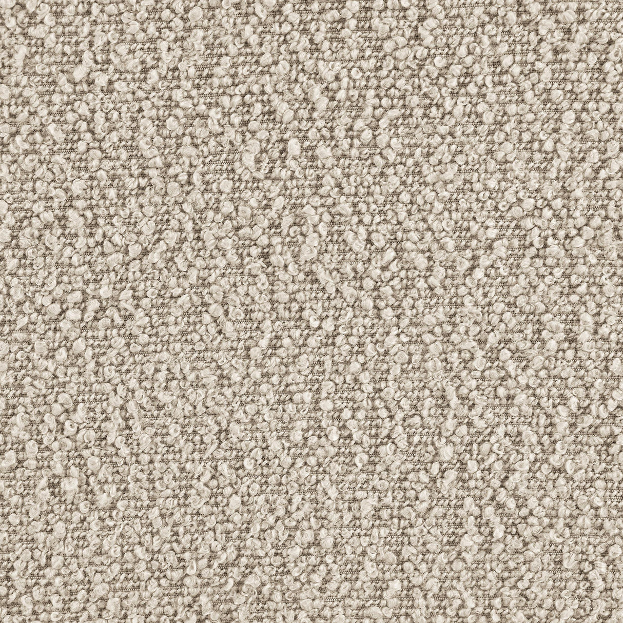 Fitzroy Latte Boucle Upholstered Accent Arm Chair from Coaster - Luna Furniture