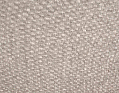 Garland Side Chair, Set of 2 from Steve Silver - Luna Furniture