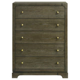 Gran Park Dark Cocoa 5-Drawer Bedroom Chest from Coaster - Luna Furniture