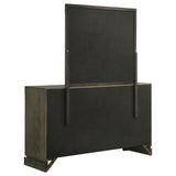 Gran Park Dark Cocoa 6-Drawer Dresser and Mirror from Coaster - Luna Furniture