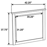 Hazlewood Vineyard Oak Dresser Mirror from Coaster - Luna Furniture