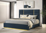 Ines Navy 52-inch Upholstered Queen Panel Bed from Coaster - Luna Furniture