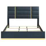 Ines Navy 52-inch Upholstered Queen Panel Bed from Coaster - Luna Furniture