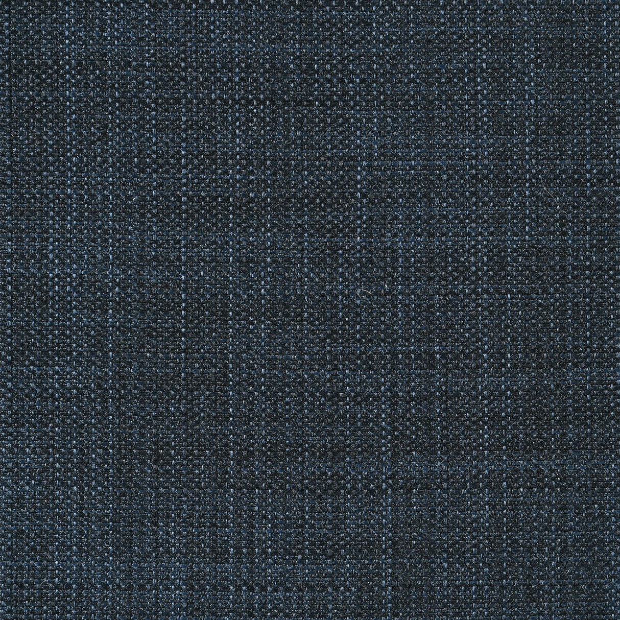 Ines Navy 52-inch Upholstered Queen Panel Bed from Coaster - Luna Furniture