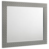 Ives Gray High Gloss Dresser Mirror (Mirror Only) from Coaster - Luna Furniture