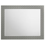 Ives Gray High Gloss Dresser Mirror (Mirror Only) from Coaster - Luna Furniture