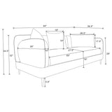 Jade Latte 2-Piece Chenille Upholstered Sofa Set from Coaster - Luna Furniture
