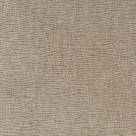 Jade Latte Chenille Sofa from Coaster - Luna Furniture