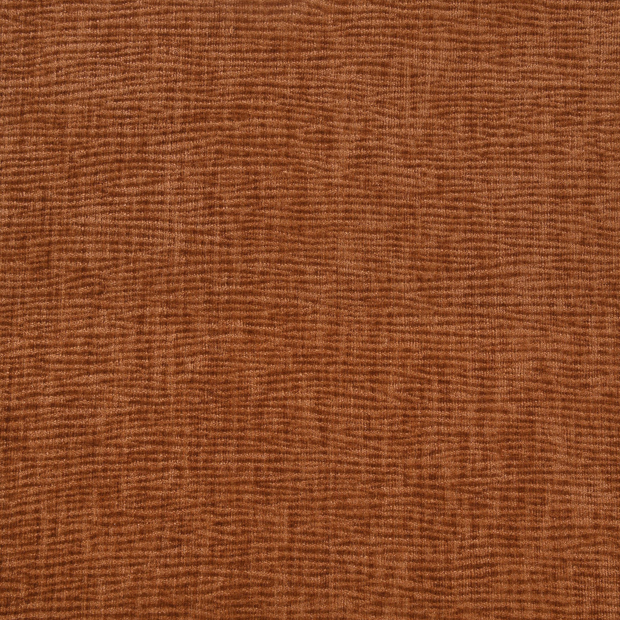 Jade Latte Chenille Sofa from Coaster - Luna Furniture