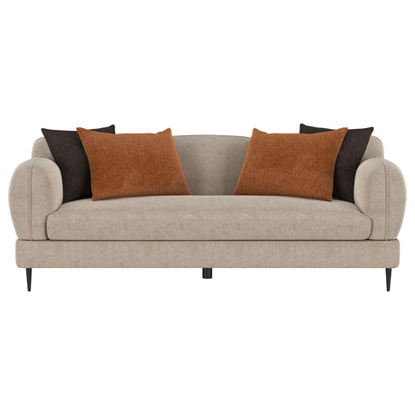 Jade Latte Chenille Sofa from Coaster - Luna Furniture