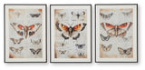 Jossletts Orange/Black/Ivory Wall Art (Set of 3) from Ashley - Luna Furniture