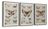 Jossletts Orange/Black/Ivory Wall Art (Set of 3) from Ashley - Luna Furniture