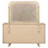 Kailani 9-drawer Dresser and Mirror Beige Oak from Coaster - Luna Furniture