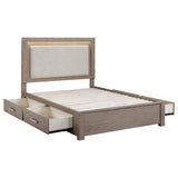 Kenora Barley Brown 56-inch Queen LED Storage Bed from Coaster - Luna Furniture