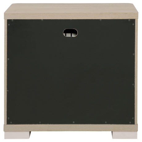 Ladera Light Elm 2-Drawer Nightstand from Coaster - Luna Furniture