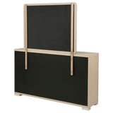 Ladera 6-drawer Bedroom Dresser and Mirror Light Elm from Coaster - Luna Furniture