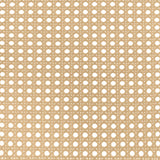 Lanewood White Polyethylene PE Rattan Upholstered Metal Eastern King Bed from Coaster - Luna Furniture