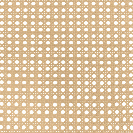 Lanewood White Polyethylene PE Rattan Upholstered Metal Queen Bed from Coaster - Luna Furniture