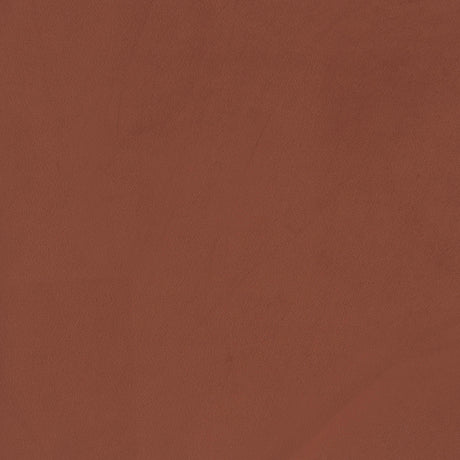 Liana Rust Orange Upholstered Roll Arm Accent Armchair from Coaster - Luna Furniture