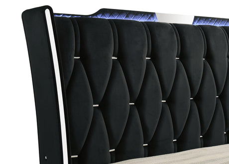 Lorient Black Queen LED Upholstered Wingback Bed from Coaster - Luna Furniture