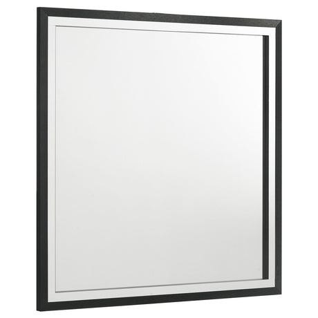 Lucia Black Dresser Mirror (Mirror Only) from Coaster - Luna Furniture