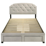 Marianna Cream 4-Drawer Upholstered Queen Storage Bed from Coaster - Luna Furniture