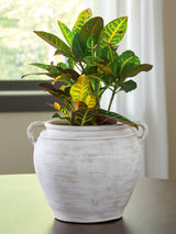 Meadie Distressed White Vase from Ashley Furniture - Luna Furniture