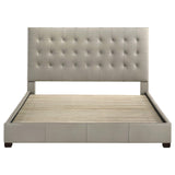 Medley Tan Genuine Leather Eastern King Platform Bed from Coaster - Luna Furniture