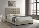 Medley Tan Genuine Leather Queen Panel Platform Bed from Coaster - Luna Furniture