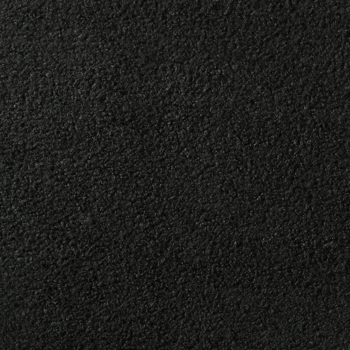 Miranda Black 55-inch Upholstered Twin Panel Bed from Coaster - Luna Furniture