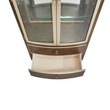 Villa Cherie Hazelnut Display Cabinet from Michael Amini - Luna Furniture