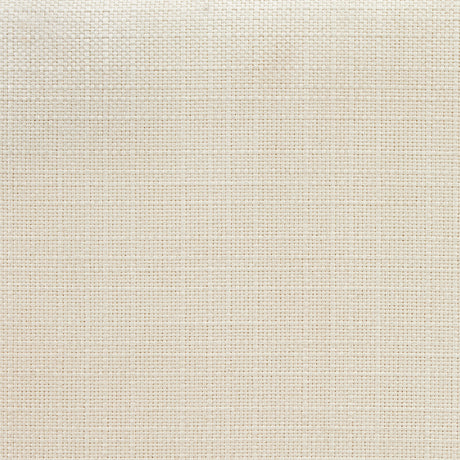 Palm Gate Cloud White Dining Arm Chair from Michael Amini - Luna Furniture