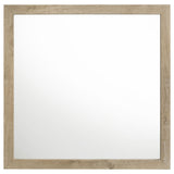 Oakglen Dresser Mirror Weathered Oak (Mirror Only) from Coaster - Luna Furniture