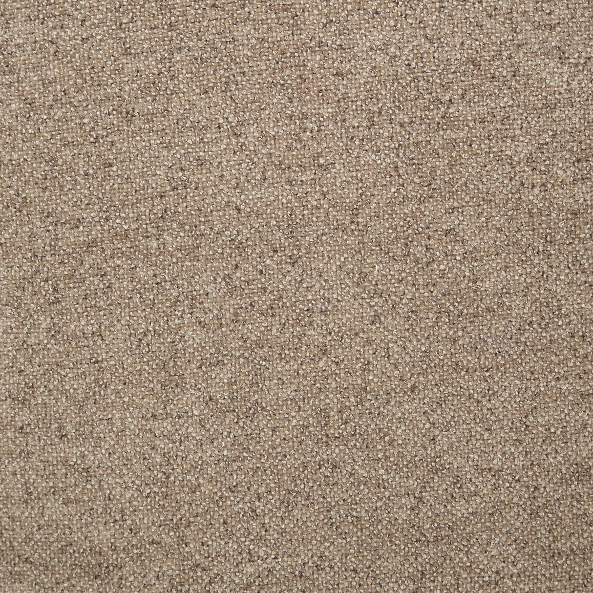 Octavia Camel Track Arm Accent Chair from Coaster - Luna Furniture