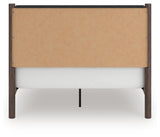 Pamytta Brown Queen Upholstered Panel Bed from Ashley - Luna Furniture