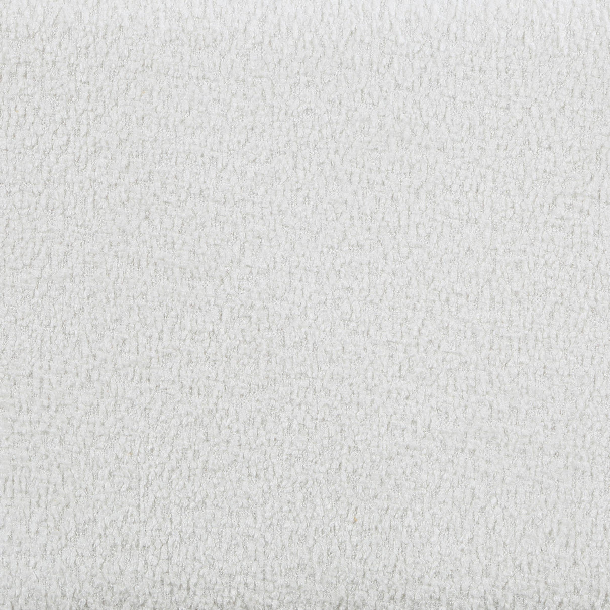 Patricia White Boucle Upholstered Twin Day Bed with Trundle from Coaster - Luna Furniture