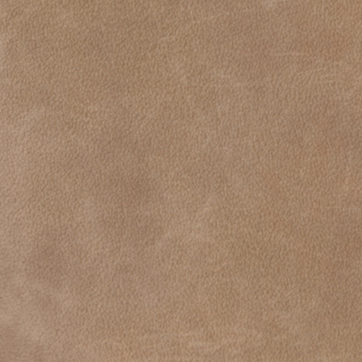 Pharwynn Toast Dining Chair, Set of 4 from Ashley - Luna Furniture