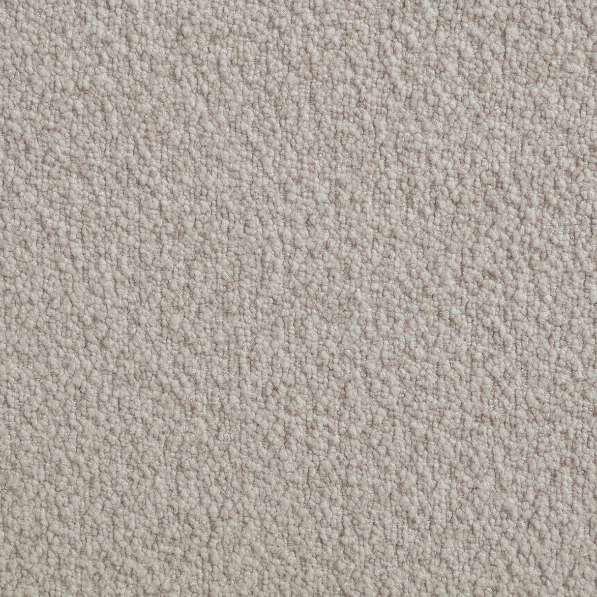 Portland Latte Boucle Sleeper Sofa Bed from Coaster - Luna Furniture