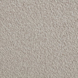 Portland Latte Boucle Sleeper Sofa Bed from Coaster - Luna Furniture