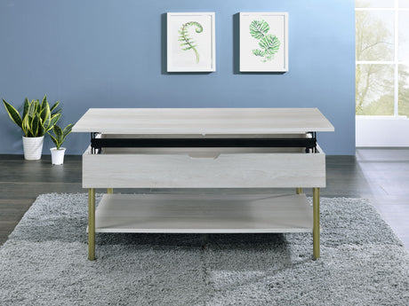 Whitman Lift-Top Cocktail Table from Steve Silver - Luna Furniture
