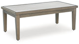 Rainier Ranch Outdoor Loveseat and 2 Chairs with Coffee Table in Brown/Beige from Ashley Furniture - Luna Furniture