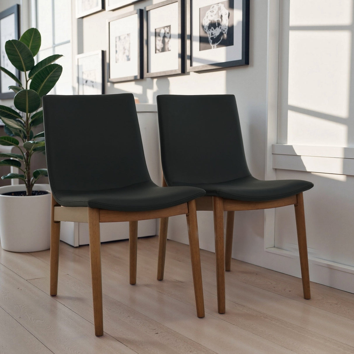 Ravel Walnut Vegan Leather Mid-Century Modern Dining Chairs from Midinmod - Luna Furniture
