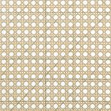 Rayo Black Rattan Cane Back Accent Chair with Padded Seat from Coaster - Luna Furniture