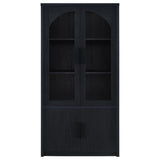 Riva Black 4-Door Tall Accent Display Cabinet with LED Lighting from Coaster - Luna Furniture