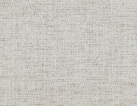 Roatan Upholstered Side Chair, Set of 2 from Steve Silver - Luna Furniture